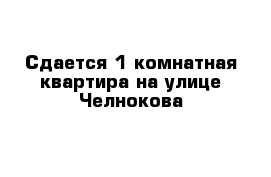 Сдается 1-комнатная квартира на улице Челнокова